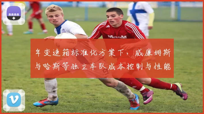 年变速箱标准化方案下，威廉姆斯与哈斯等独立车队成本控制与性能平衡预测